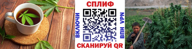 Cannafood марихуана  ссылка на мегу ССЫЛКА  маркетплейс официальный сайт  дарнет шоп  Томари 