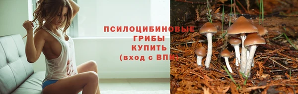 амф Абинск