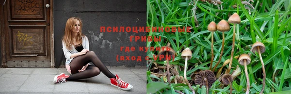 мет Абаза
