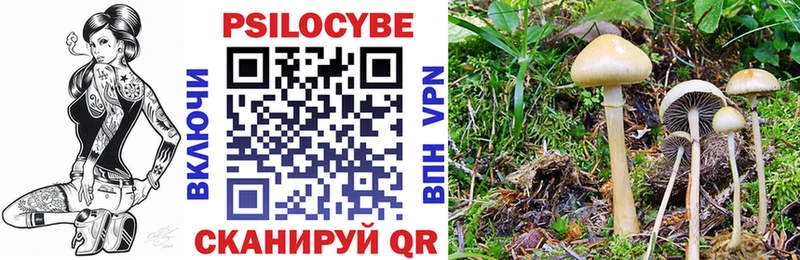 Псилоцибиновые грибы мицелий  Томари 